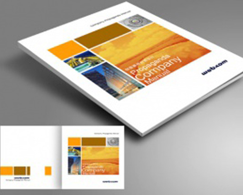 說明(míng)書畫冊